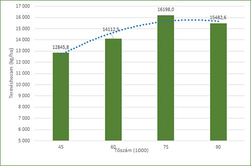 1.ábra: SD3121 terméseredménye (kg/ha) a különböző tőszámszinteken